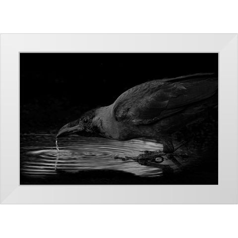 Water White Modern Wood Framed Art Print by Zaeitar, Ahmed