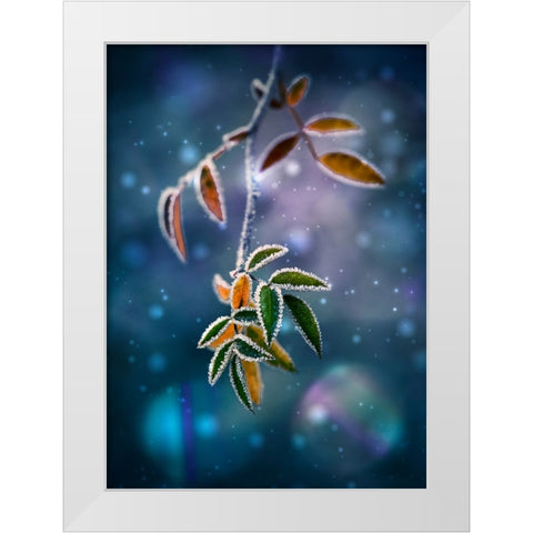 ... White Modern Wood Framed Art Print by Georgieva V, Nikki