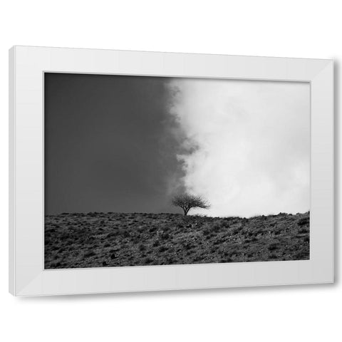 The sky is mine White Modern Wood Framed Art Print by Noori, Saba