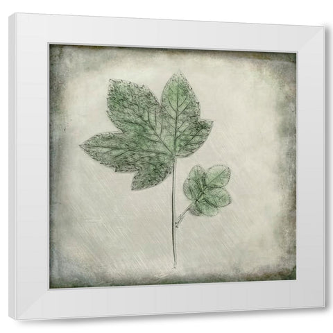 Before the Decay White Modern Wood Framed Art Print by Kiral, Cicek