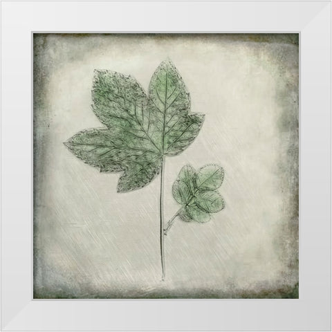 Before the Decay White Modern Wood Framed Art Print by Kiral, Cicek