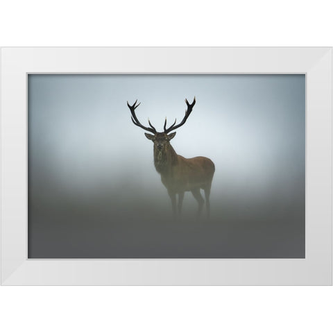 Ephemerality White Modern Wood Framed Art Print by Rudchenko, Olga