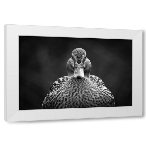 Look at me White Modern Wood Framed Art Print by Pfeiffer, Peter