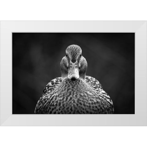 Look at me White Modern Wood Framed Art Print by Pfeiffer, Peter