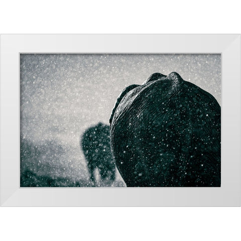 Rainy Season White Modern Wood Framed Art Print by Taylor, Mike