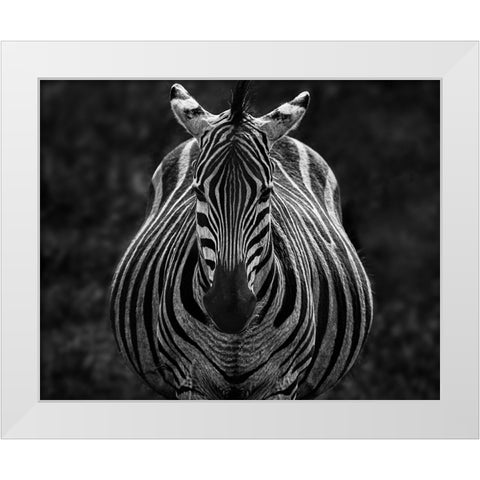 Stare White Modern Wood Framed Art Print by Chen, Jiong