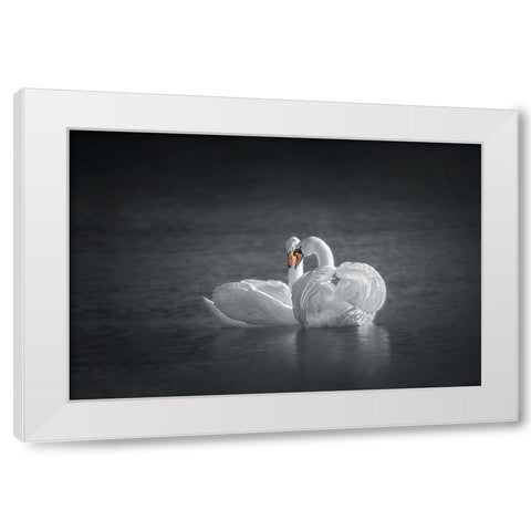 Public Display of Affection White Modern Wood Framed Art Print by Hu, Mei