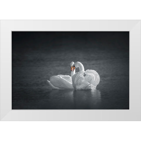 Public Display of Affection White Modern Wood Framed Art Print by Hu, Mei