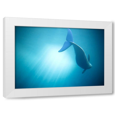 Velure Moana White Modern Wood Framed Art Print by Lintaman, Adachi