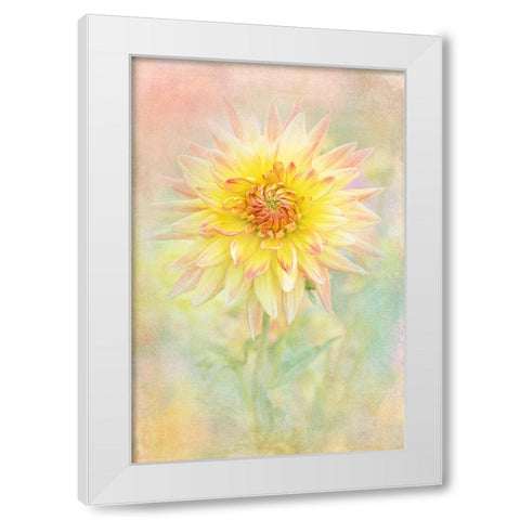 Lemon Spritz White Modern Wood Framed Art Print by Parker, Jacky