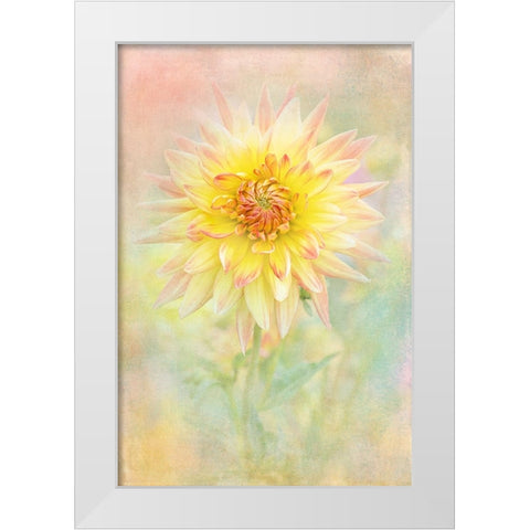 Lemon Spritz White Modern Wood Framed Art Print by Parker, Jacky