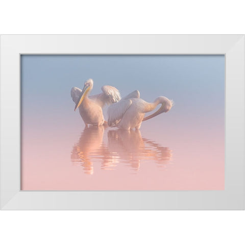 Two Pelicans White Modern Wood Framed Art Print by Rublina, Natalia