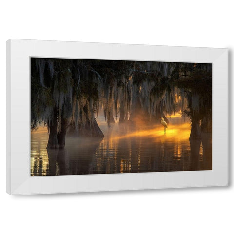 Under Spanish Moss White Modern Wood Framed Art Print by Mao, Dianne