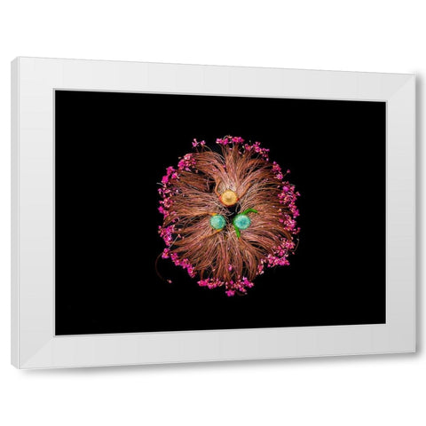 COLORS OF LIFE White Modern Wood Framed Art Print by Adikary, Sujon