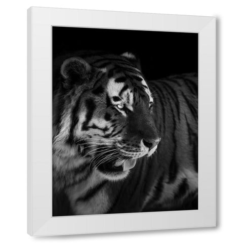 The king White Modern Wood Framed Art Print by Zhao, Alex
