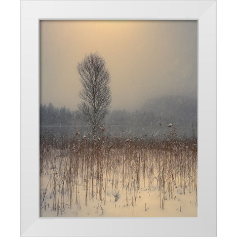 Untitled White Modern Wood Framed Art Print by Gialopoulos, Anastasios