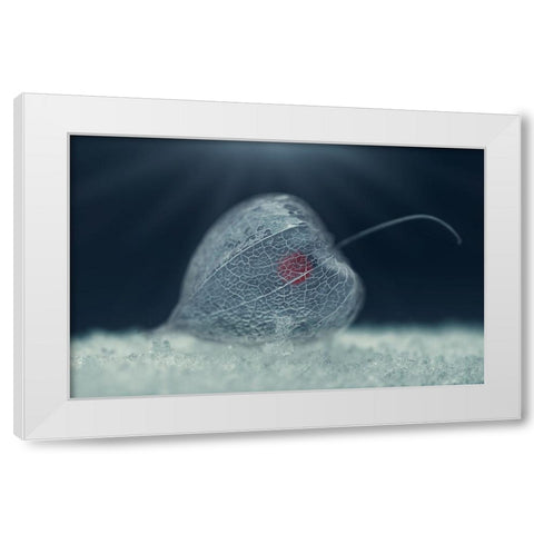 ... White Modern Wood Framed Art Print by Georgieva V, Nikki