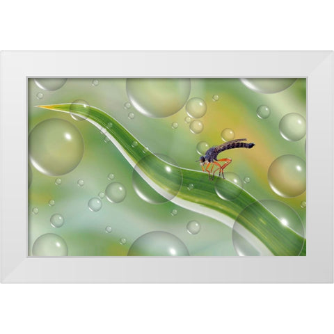 Migration To Another Planet... White Modern Wood Framed Art Print by Dufour, Thierry