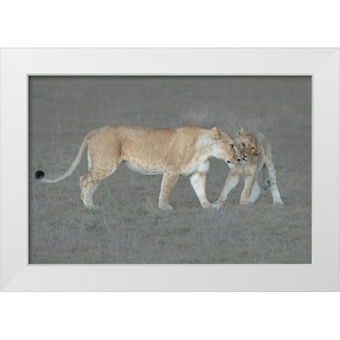I love you, Mom! White Modern Wood Framed Art Print by Xu, Sheila