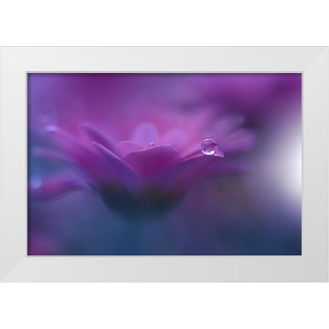 Without Form, Without Limit...II White Modern Wood Framed Art Print by Nan, Juliana