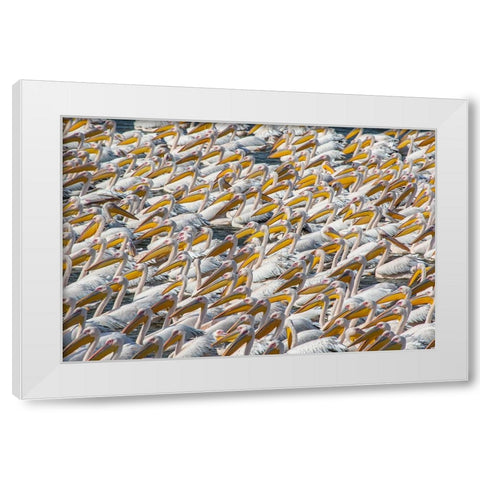 Pelican Parade White Modern Wood Framed Art Print by Rublina, Natalia