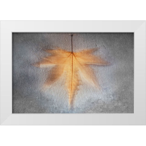 Illusions Of The Past White Modern Wood Framed Art Print by Kiral, Cicek