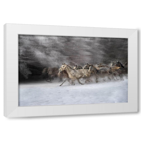 Winter joy White Modern Wood Framed Art Print by Malovrh, Milan