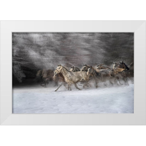 Winter joy White Modern Wood Framed Art Print by Malovrh, Milan
