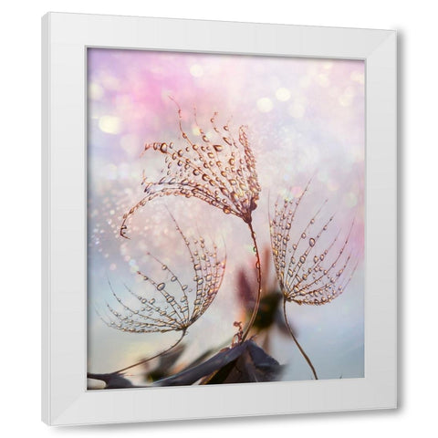 macro White Modern Wood Framed Art Print by Markova, Tanya