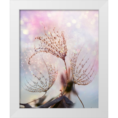 macro White Modern Wood Framed Art Print by Markova, Tanya