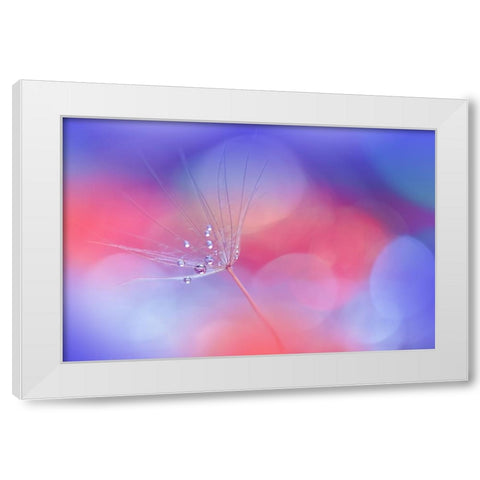 Creation Of Life..II White Modern Wood Framed Art Print by Nan, Juliana