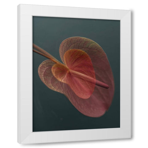 Heart_2 White Modern Wood Framed Art Print by Basso, Donatella