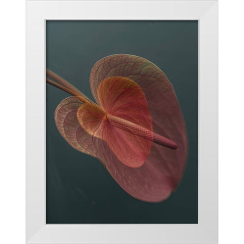 Heart_2 White Modern Wood Framed Art Print by Basso, Donatella