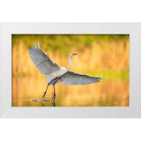 Cruising Around White Modern Wood Framed Art Print by Schlaf, Christopher