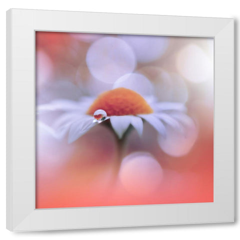 Summer Mood.. White Modern Wood Framed Art Print by Nan, Juliana