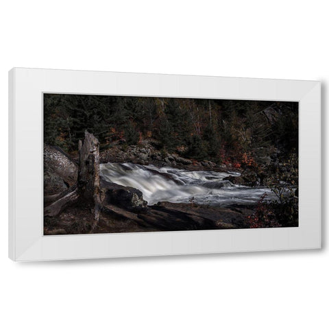 The Witness White Modern Wood Framed Art Print by Zhao, Qing