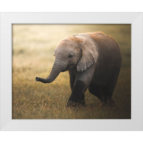 Falafelo White Modern Wood Framed Art Print by Sobhi, Ahmed