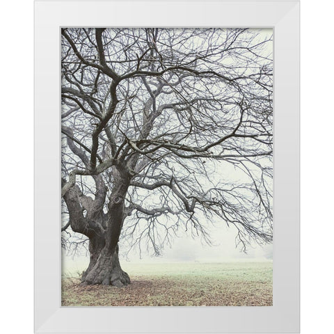 Field And Fog White Modern Wood Framed Art Print by Allen, Elizabeth