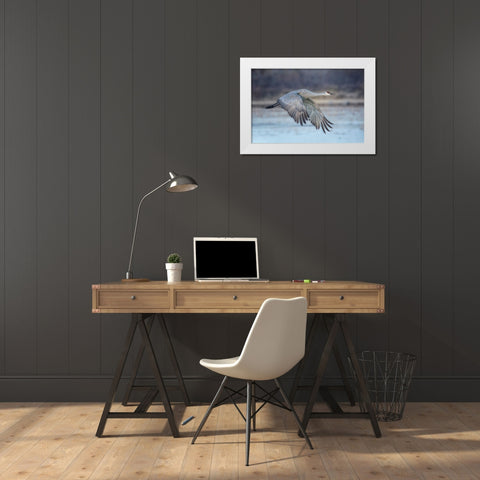 A Sandy Hill Crane In Flight White Modern Wood Framed Art Print by Zheng, Sanbao