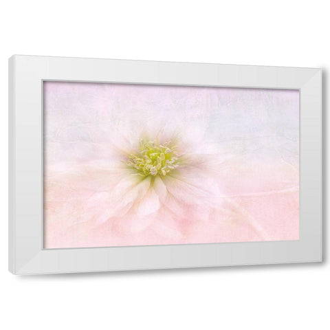 Over The Rainbow White Modern Wood Framed Art Print by Parker, Jacky