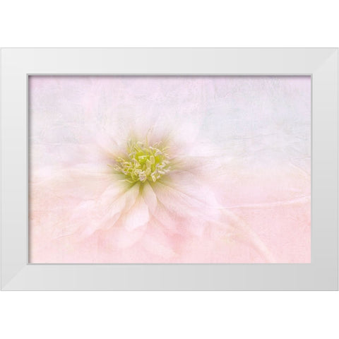 Over The Rainbow White Modern Wood Framed Art Print by Parker, Jacky