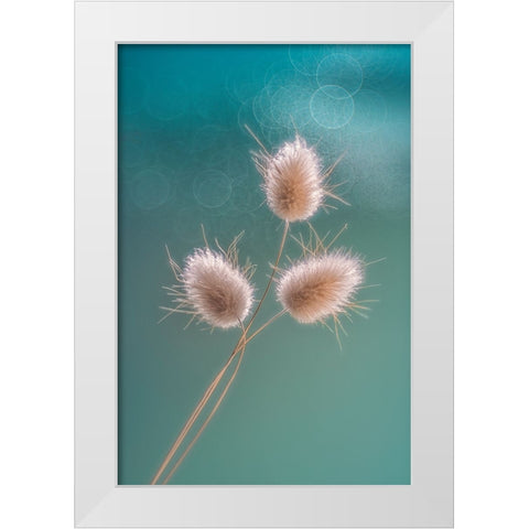 Ribbit Tails White Modern Wood Framed Art Print by Jacobs, Lydia
