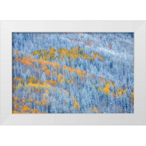 Transition of Seasons White Modern Wood Framed Art Print by Xu, Mei