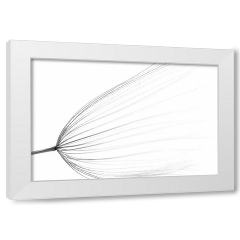 The Big Minimal White Modern Wood Framed Art Print by Terravecchia, Rino