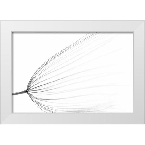 The Big Minimal White Modern Wood Framed Art Print by Terravecchia, Rino