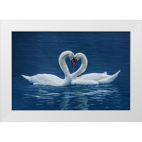 cp White Modern Wood Framed Art Print by Uu