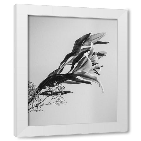 A Beautiful Flower White Modern Wood Framed Art Print by Jo, Rahel