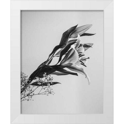 A Beautiful Flower White Modern Wood Framed Art Print by Jo, Rahel