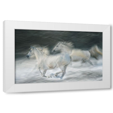 Gallop In A Duel White Modern Wood Framed Art Print by Malovrh, Milan