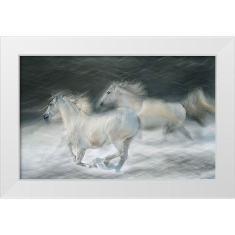 Gallop In A Duel White Modern Wood Framed Art Print by Malovrh, Milan